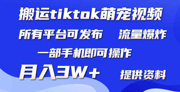 （9618期）搬运Tiktok萌宠类视频，一部手机即可。所有短视频平台均可操作，月入3W+-课程网