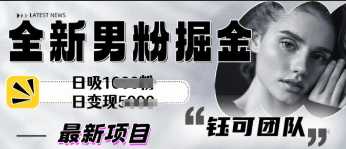 全新男粉掘金思路日吸粉100+日变现1k+-课程网