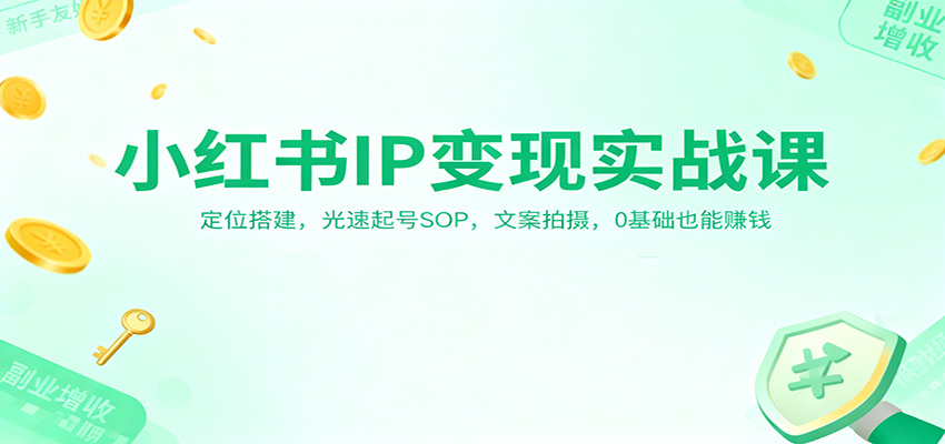 小红书IP变现实战课：定位搭建，光速起号SOP，文案拍摄，0基础也能赚钱-课程网