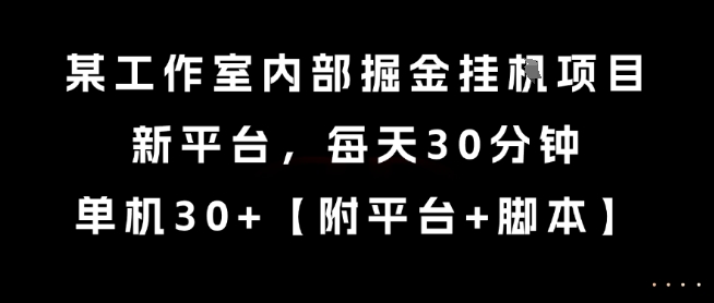 某工作室内部掘金挂G项目，新平台，每天30分钟，单机30+【揭秘】-课程网
