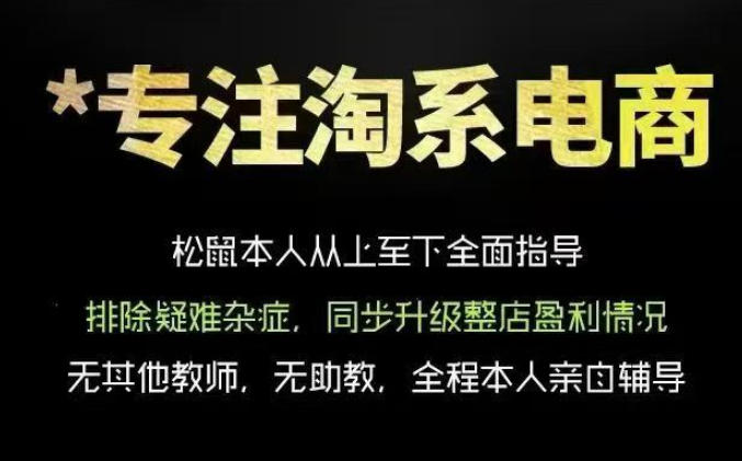 松鼠会电商VIP课程，从基础布局到高阶优化，助你掌握淘宝运营逻辑，提升店铺流量与转化（更新0809）-课程网