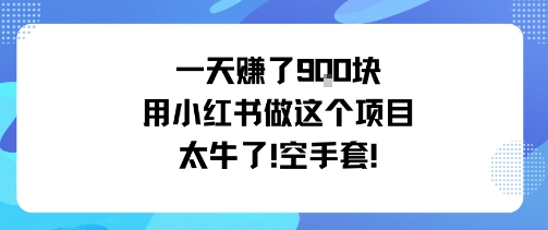 一天挣了9张用小红书做这个项目太牛了，空手套-课程网
