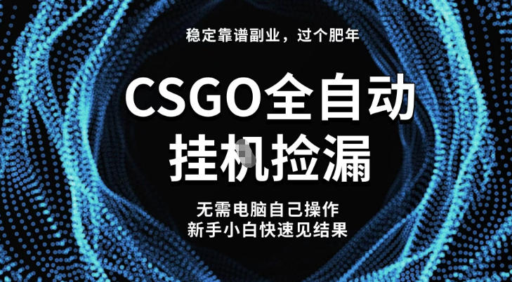 【稳定副业】全球最热门游戏CSGO全自动捡漏，最新玩法，新手小白日入5张+【揭秘】-课程网