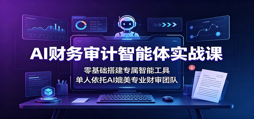 AI财务审计智能体实战课：零基础搭建专属智能工具，单人依托AI媲美专业财审团队-课程网