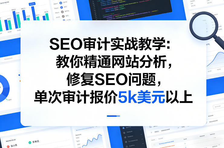 SEO审计实战教学：教你精通网站分析，修复SEO问题，单次审计报价5k美元以上-课程网