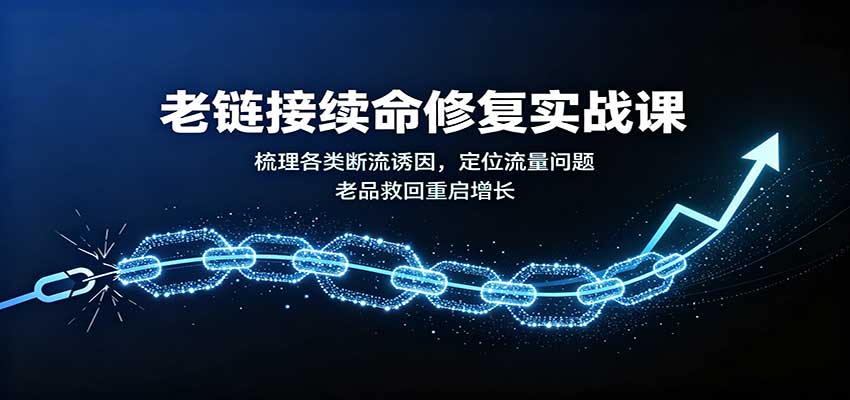 老链接续命修复实战课：梳理各类断流诱因，定位流量问题，老品救回重启增长-课程网