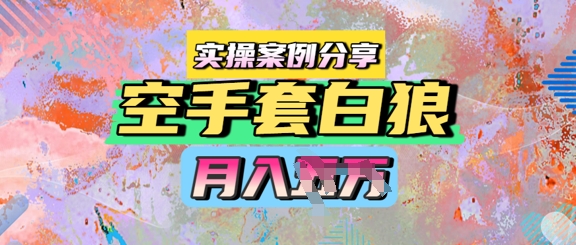 空手套白狼，月入过1W，实操案例分享-课程网