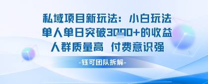 私域项目新玩法小白玩法单人单日突破1k的收益人群质量高付费意识强-课程网
