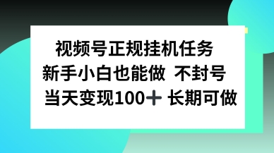视频号正规挂播任务，有手就行不违规，轻松日入1张-课程网