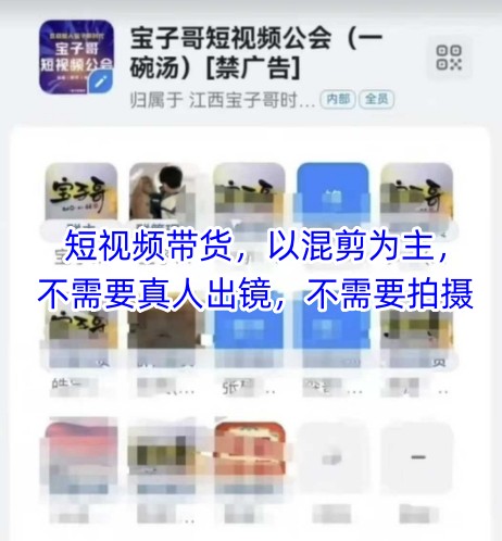 宝子哥头部团队短视频带货，以混剪为主，不需要真人出镜，不需要拍摄【更新】-课程网