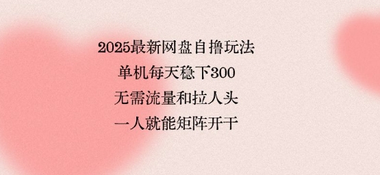 2025最新网盘自撸玩法，单机每天稳下3张，无需流量和拉人头，一个人就可轻松矩阵，全网独一份【揭秘】-课程网
