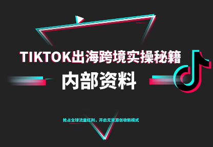 TikTok跨境电商0-1搭建运营(更新10月)-课程网