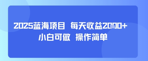 2025蓝海项目 每天收益多张 小白可做 操作简单-课程网