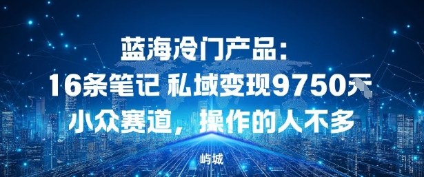蓝海冷门产品：16条笔记私域变现9750米，小众赛道，操作的人不多-课程网