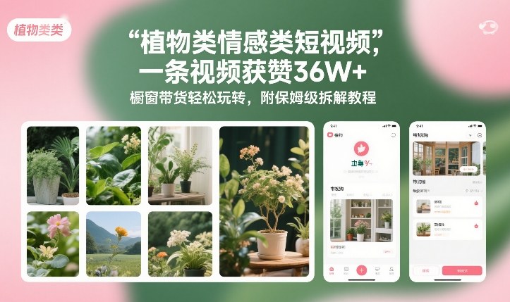植物类情感类短视频，一条视频获赞36W+，橱窗带货轻松玩转，附保姆级拆解教程-课程网
