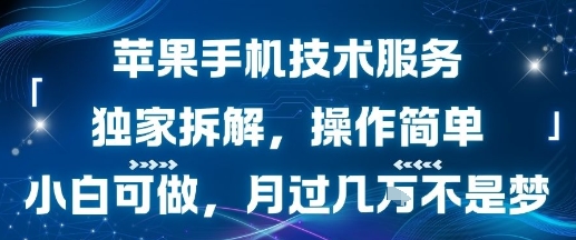 苹果手机技术服务，独家拆解，操作简单，小白可做，月过1W不是梦-课程网
