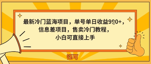 最新冷门蓝海项目，单号单日收益多张，信息差项目，售卖冷门教程，小白可直接上手-课程网