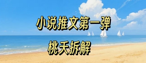 小说推文项目操作全流程第一弹，0粉就能做，门槛低非常适合新手-课程网