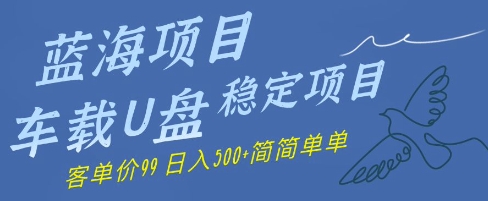 蓝海项目车载U盘稳定项目，挣的就是信息差，客单价99，日入几张简简单单-课程网
