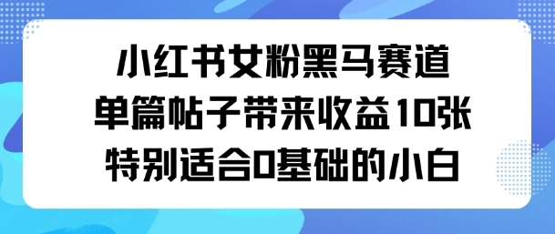 小红书女粉黑马赛道单篇帖子带来收益10张特别适合0基础的小白-课程网