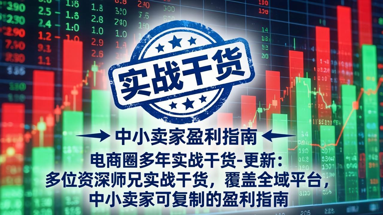 电商圈多年实战干货-更新4月：多位资深师兄实战干货，覆盖全域平台，中小卖家可复制的盈利指南-课程网