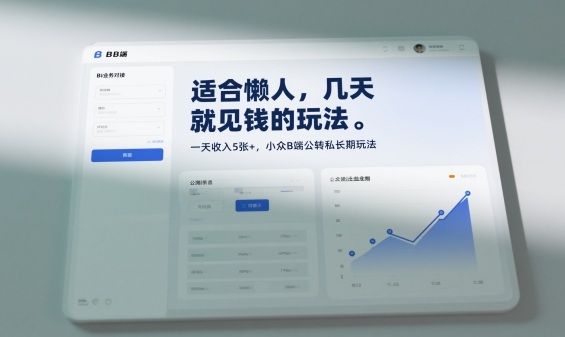 适合懒人，几天就见钱的玩法，一天收入5张+，小众B端公转私长期玩法-课程网
