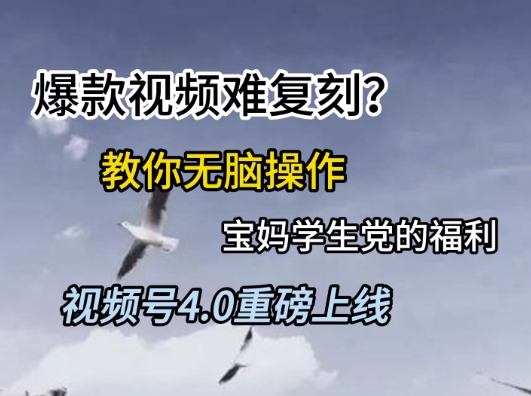 视频号4.0重磅上线，爆款视频难复刻？教你无脑操作宝妈学生党的福利【揭秘】-课程网