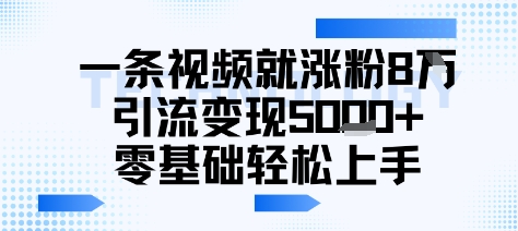 一条视频就涨粉8W引流变现5k+，0基础项目轻松上手-课程网