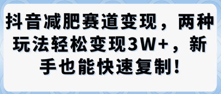 抖音减肥赛道变现，两种玩法轻松变现3W+，新手也能快速复制-课程网