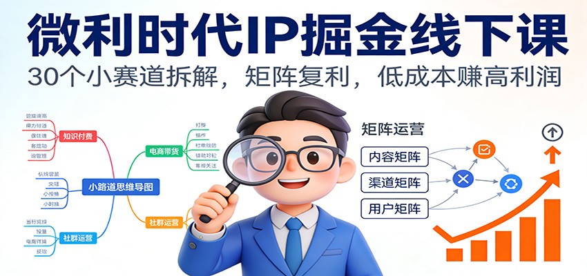 微利时代IP掘金线下课：30个小赛道拆解，矩阵复利，低成本赚高利润-课程网