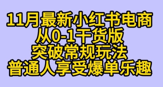 K总部落《11月小红书电商最新玩法从0-1突破平台流量》-课程网