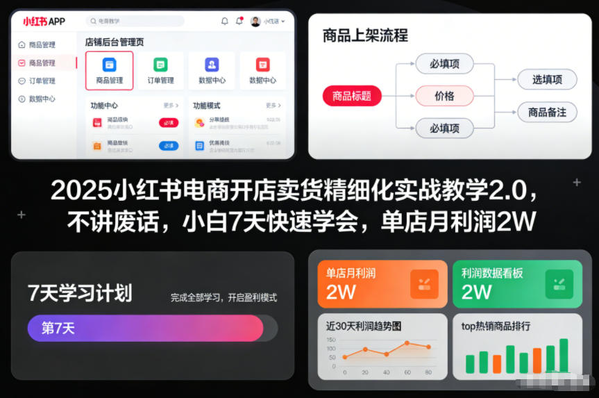 2025小红书电商开店卖货精细化实战教学2.0，不讲废话，小白7天快速学会，单店月利润2W-课程网