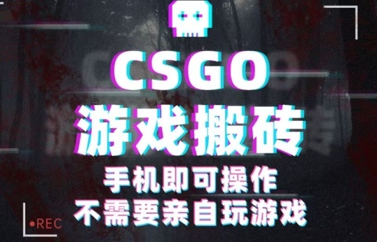 CSGO游戏挂G捡漏，单日扫货5张+，年底小高峰上车可吃肉，手机即可操作，兼职副业创业网创【揭秘】-课程网