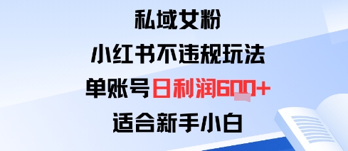 私域女粉：小红书平台不违规玩法单账号日利润6张+适合新手小白-课程网