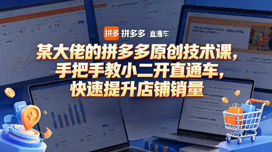 某大佬的拼多多原创技术课，手把手教小二开直通车，快速提升店铺销量-课程网