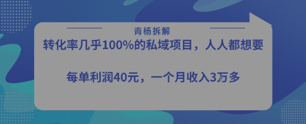 转化率最高的私域项目，每单利润40-50米，月入过1w-课程网