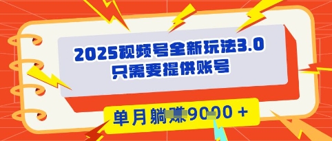 2025年视频号全新玩法3.0，操作爆款门槛低， 团队赋能，单月入9k-课程网