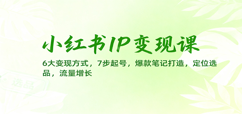 小红书IP变现课：6大变现方式，7步起号，爆款笔记打造，定位选品，流量增长-课程网