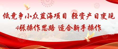 低竞争小众蓝海项目，轻资产日变现4张的操作思路适合新手操作-课程网