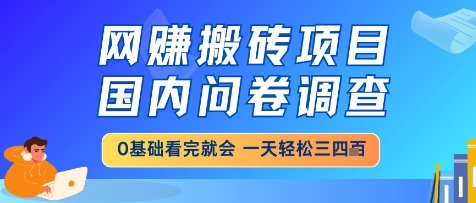 网创搬砖项目，国内问卷调查，小白轻松上手，一天三四张的也不难，干就完了【揭秘】-课程网