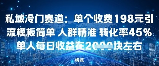私域冷门赛道：单个收费198米引流模板简单人群精准转化率45%单人每日收益在1k+-课程网
