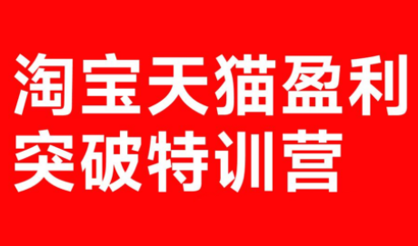 玺承·淘宝天猫盈利突破特训营(25年12月线下课)【音频+字幕】-课程网