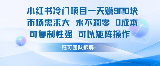 小红书冷门项目一天收益9张，市场需求大，0成本，可复制性强可以矩阵操作-课程网