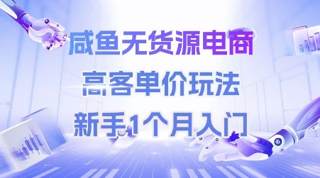 咸鱼无货源电商，高客单价玩法，新手1个月入门-课程网