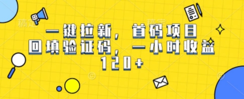 一键拉新，首码项目，回填验证码，一小时收益1张-课程网