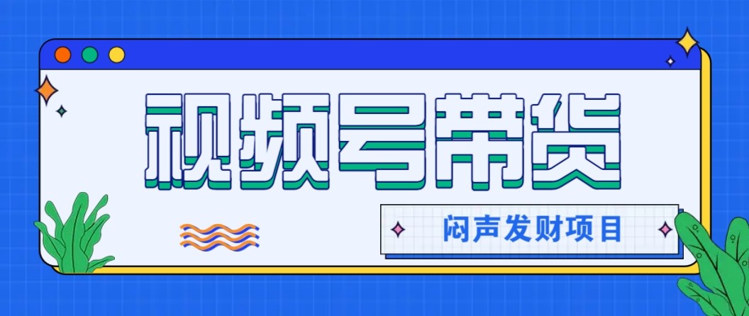 微信视频号带货项目，轻松日赚赚2000+，这个挣钱入口很多伙伴都在闷声发财-课程网