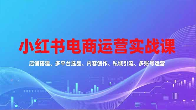 小红书电商运营实战课，店铺搭建、多平台选品、内容创作、私域引流、多账号运营等玩法-课程网