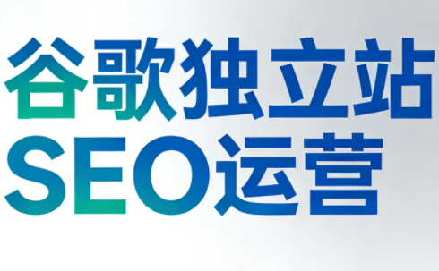 谷歌独立站SEO运营(更新2026)-课程网