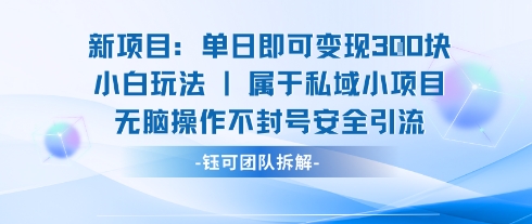新项目单日即可变现3张的小白玩法无脑操作不封号安全引流-课程网