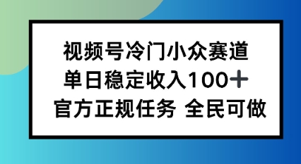 视频号小众赛道，单日稳定收入100+，适合所有人-课程网